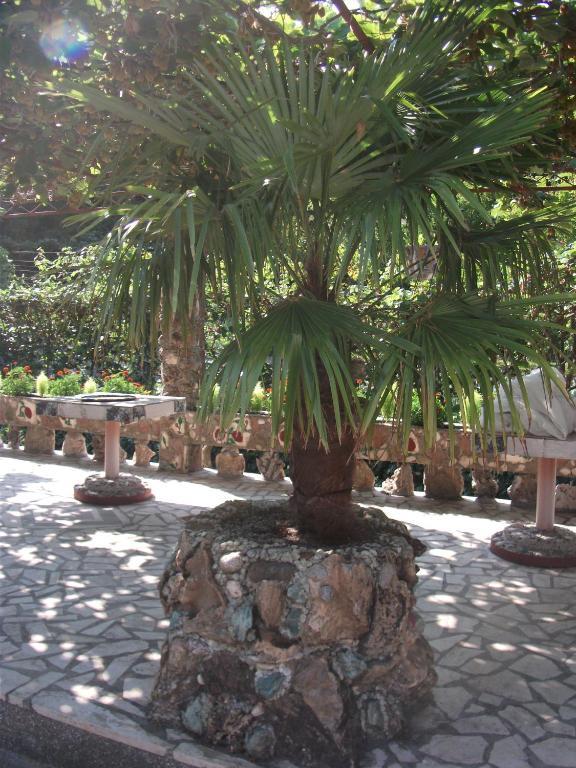 Radonjic Apartments Budva Exterior foto