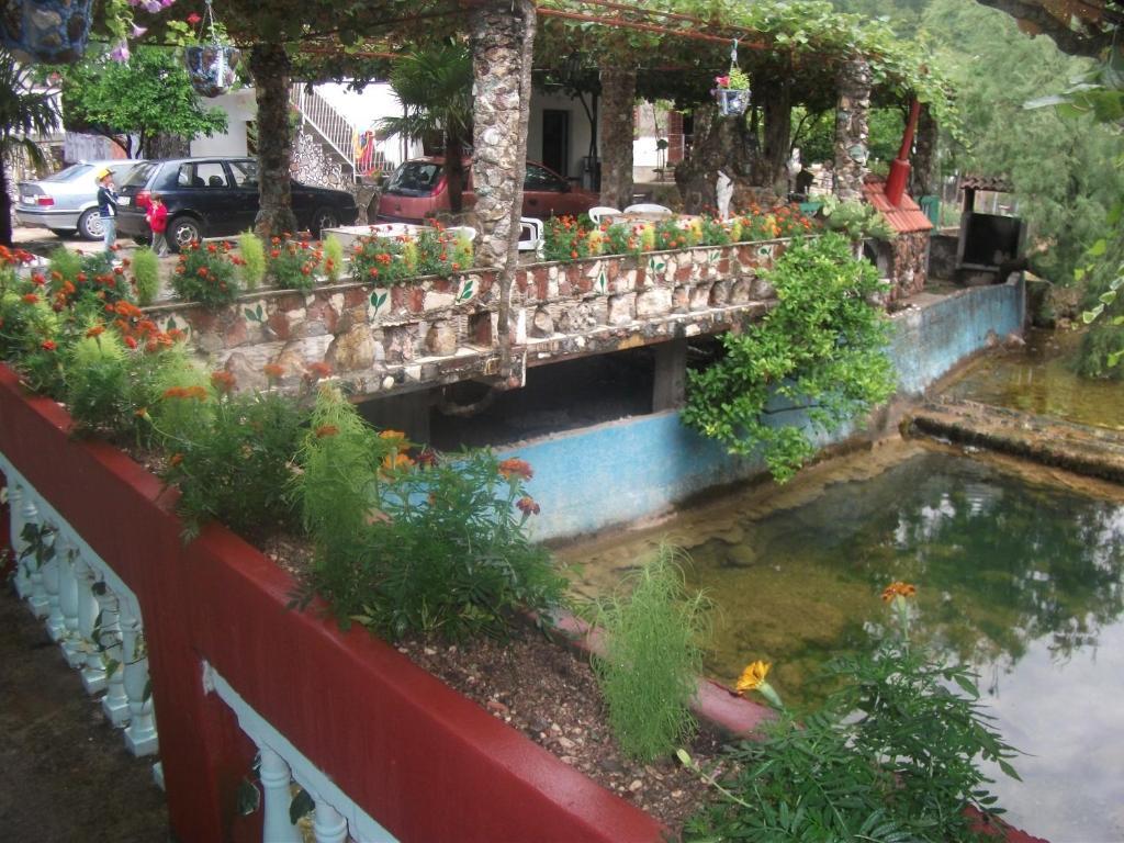 Radonjic Apartments Budva Habitación foto